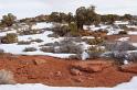 Canyonlands26012010 (129)